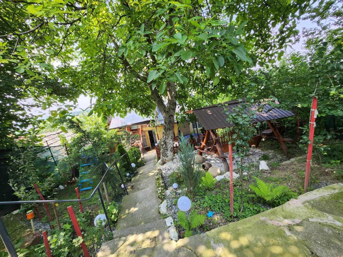 Hotel Casa Rool Turda Exterior foto